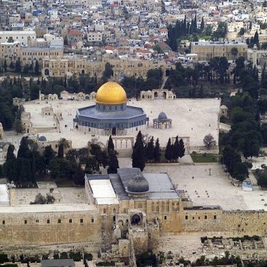 Шамил Дагистани Profile Picture