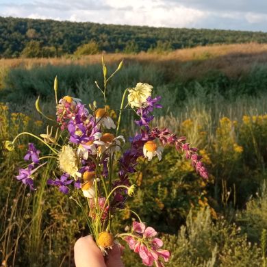 Julia Timralieva Profile Picture