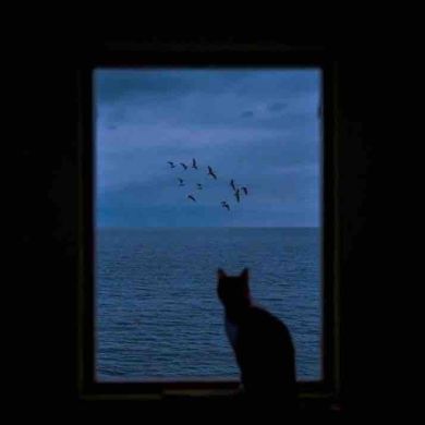 x1anbal.gimrinskiy Profile Picture