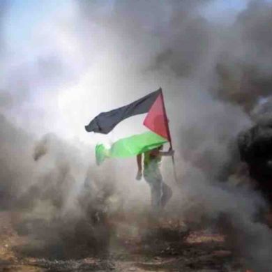 Marina Umm Samira Profile Picture