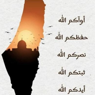 غادة شكري غادة شكري Profile Picture