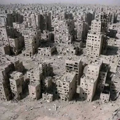 Murtessa Mohammed profile picture