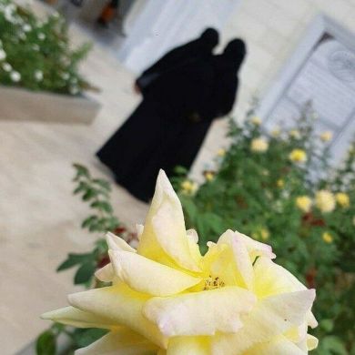 Akile Abdulazim Profile Picture