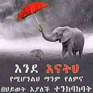 misbah Abdu Profile Picture