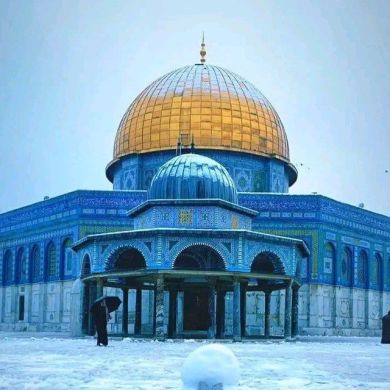 HABIB HUSEB Profile Picture