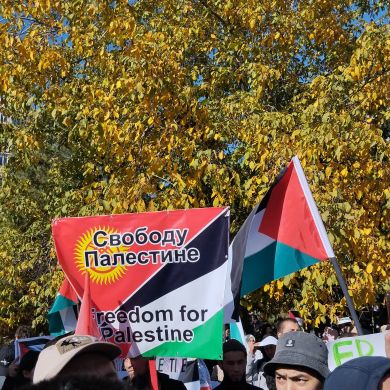 Abdulla Kushbak uulu