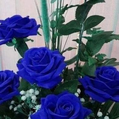 صبرين التوكابري Profile Picture