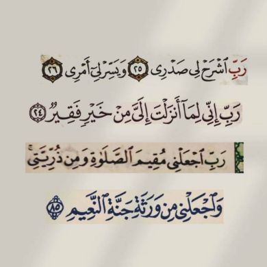 amina hermassi Profile Picture