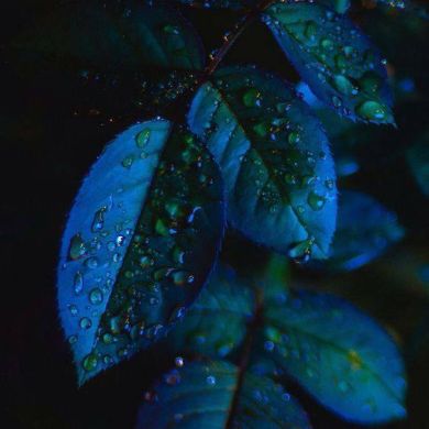 Лилия Рахимова Profile Picture