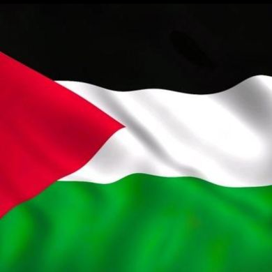 zulfikar z Profile Picture