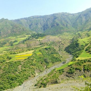 Ahmed Siraj | UmmaLife