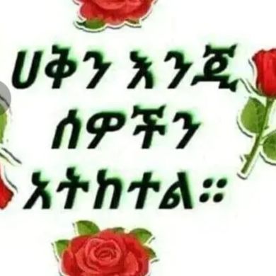 jamel kameil Profile Picture