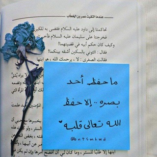 Telegram: Contact @Effa778