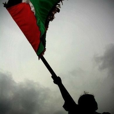 مراد مسافر Profile Picture