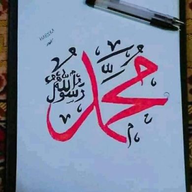 mahmud seraj Profile Picture