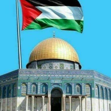 one message Profile Picture