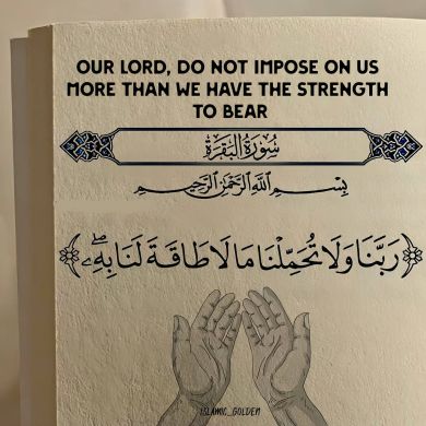 abn adlp Profile Picture