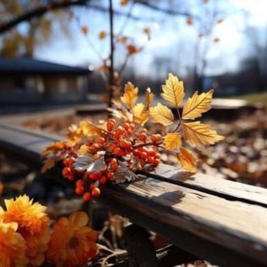 QSHR SHQ profile picture