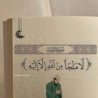 medina Abdu Profile Picture