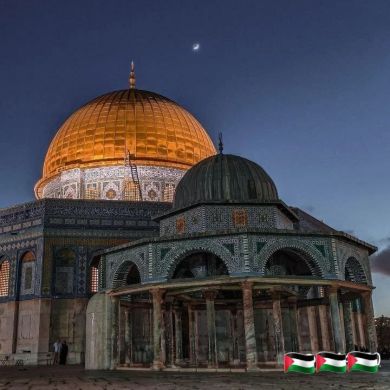 حياة توفيق Profile Picture