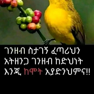 Keyru Nuriye Profile Picture