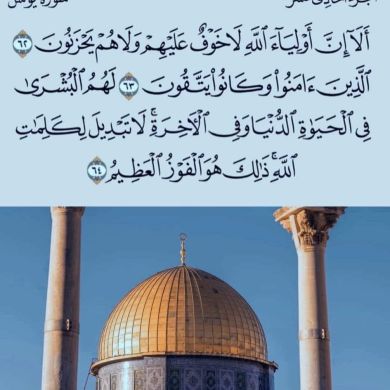 Sin ahmed Ahmed sali