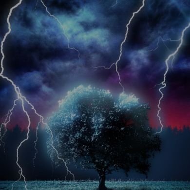 Гаджимурад Абдулкадиров