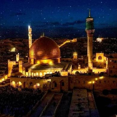 Nour Elyaqeen Profile Picture