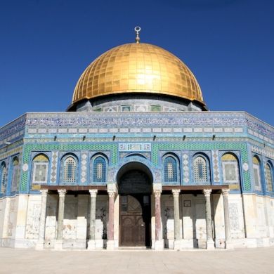 Abumuza Profile Picture