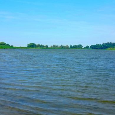 Alkhazov Profile Picture