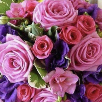 Хон Буви Profile Picture