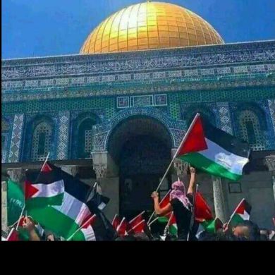 Abrar Nuradin Profile Picture