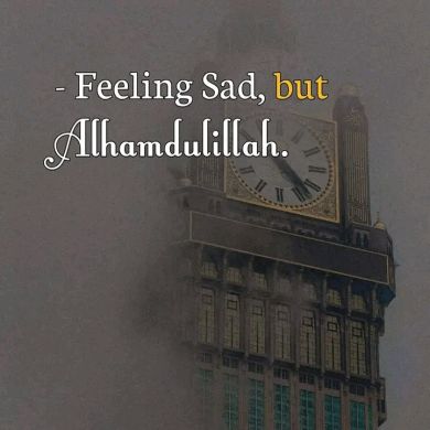 amrallah jemal Profile Picture