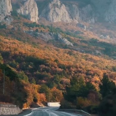 Jemal Abdella Profile Picture