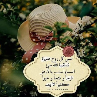 Telegram: Contact @dnqadnqwegoch