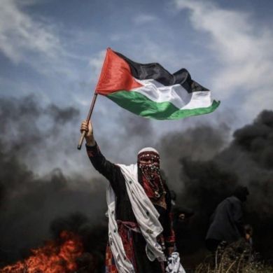 Рустамов  Мухаммад  Profile Picture