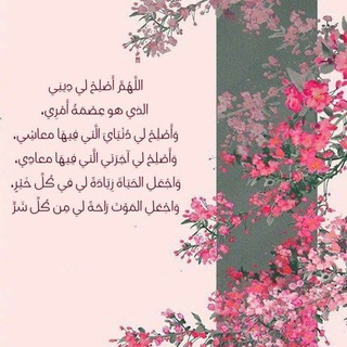 Telegram: Contact @L_o_aLo_a_a10