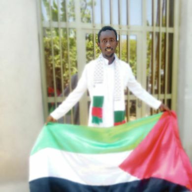 amir bashir Profile Picture