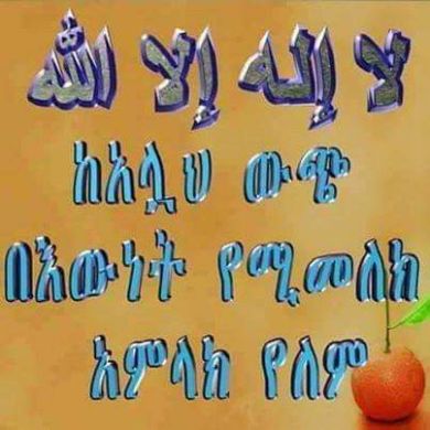 jemal ali Profile Picture