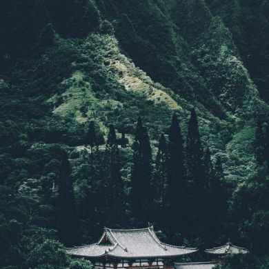 Yahya Mahmudiy Profile Picture