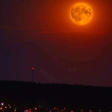 Kamoliddin Sayfulloh