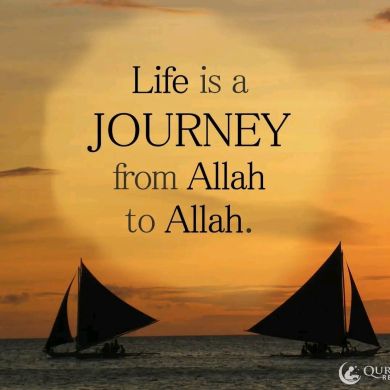 ShamimAhmedJain Profile Picture