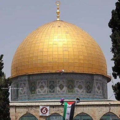 مكرم خضر Profile Picture