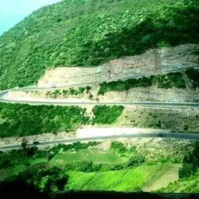 Mohammed Kassaw Profile Picture