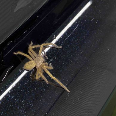 Абдулла Гаджикадиев Profile Picture