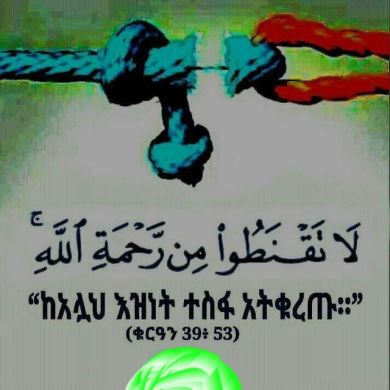 أبو عاتكة Profile Picture