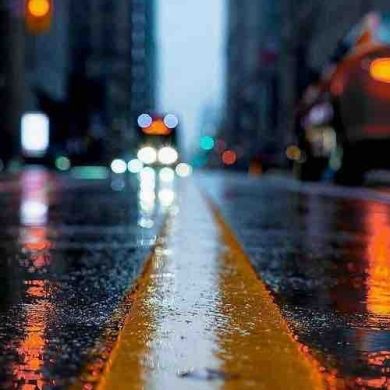 Mamluk Profile Picture