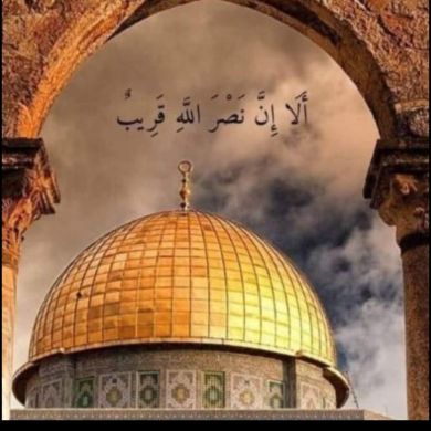 Harun971 Profile Picture