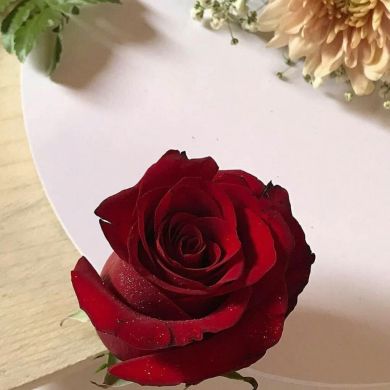 sada bint aselefy Profile Picture