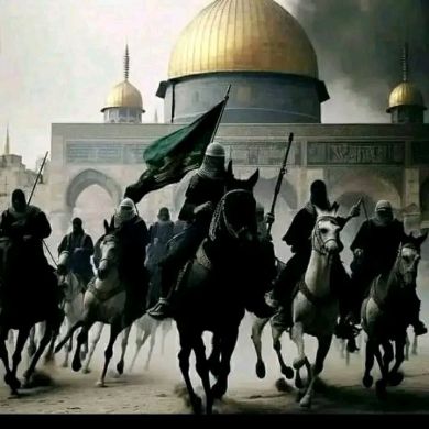 Nesredin Ibn Bedr profile picture